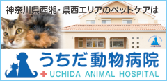 うちだ動物病院